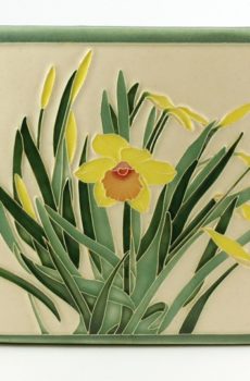 Daffodil